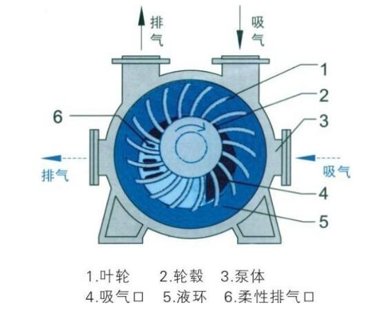 淄博水環式真空泵工作原理圖